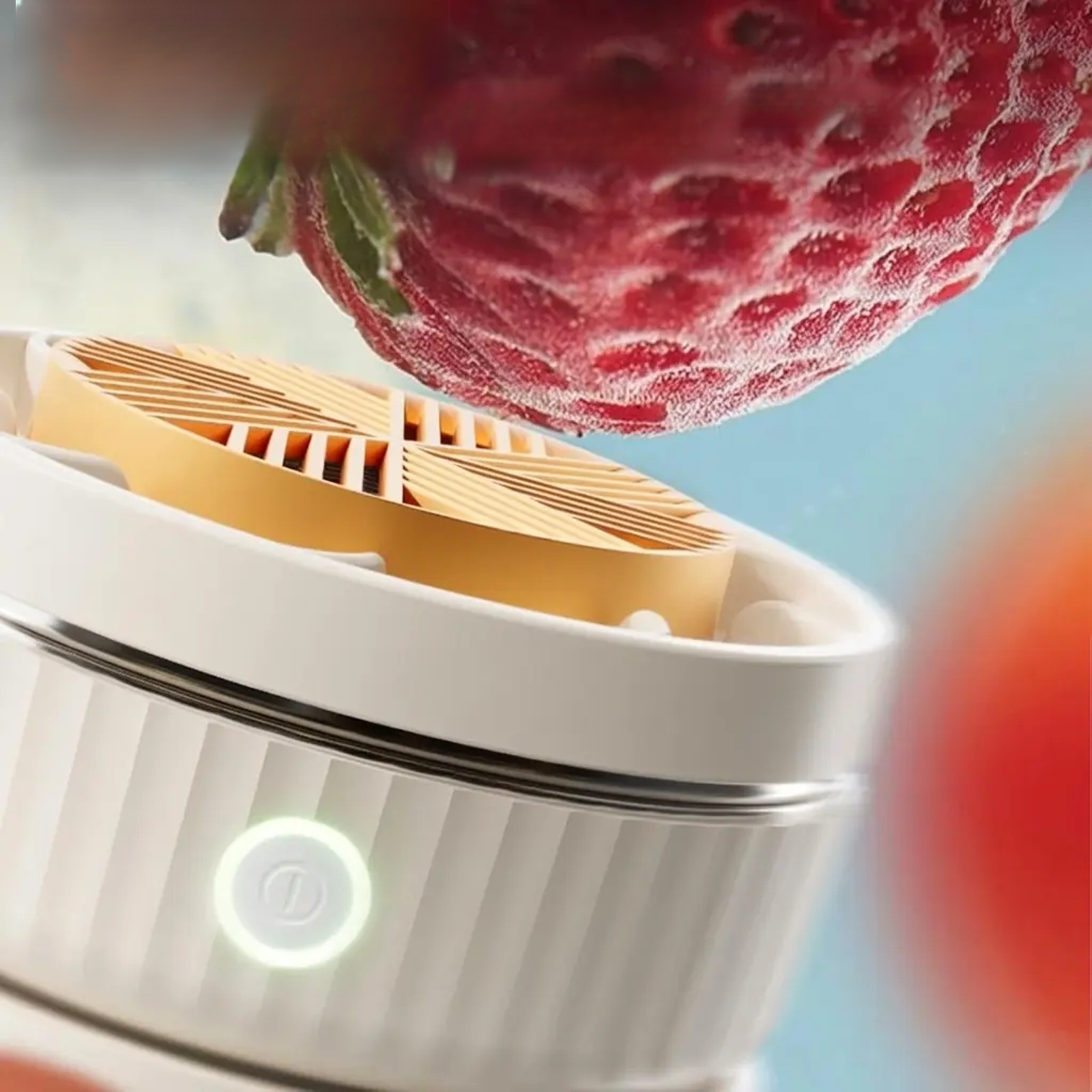 家庭用電動果物・野菜洗浄消毒機