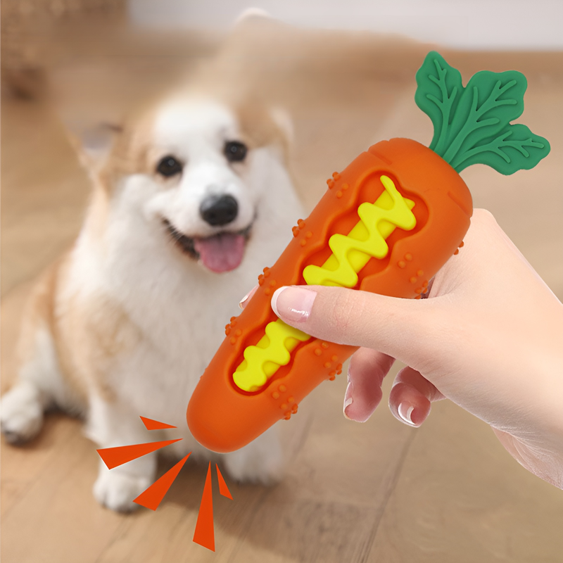 Dog Chew-Resistant Teething Toy
