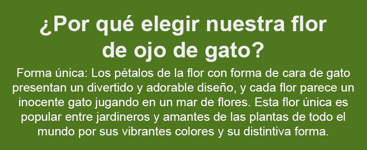 1_06.jpg