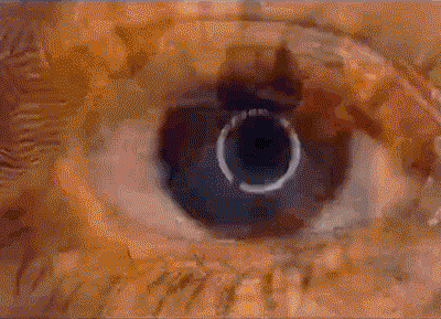 f26dcbb5500ded86b08ab64e5a8ebcad.gif