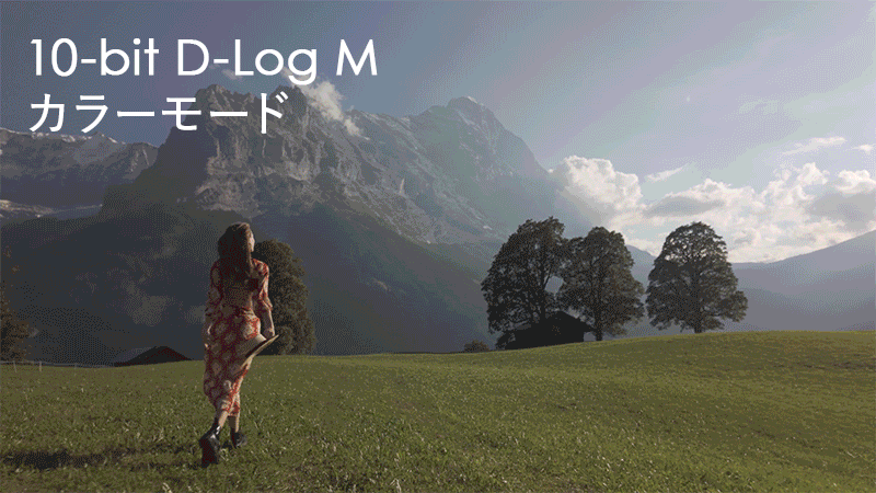op3_1.gif