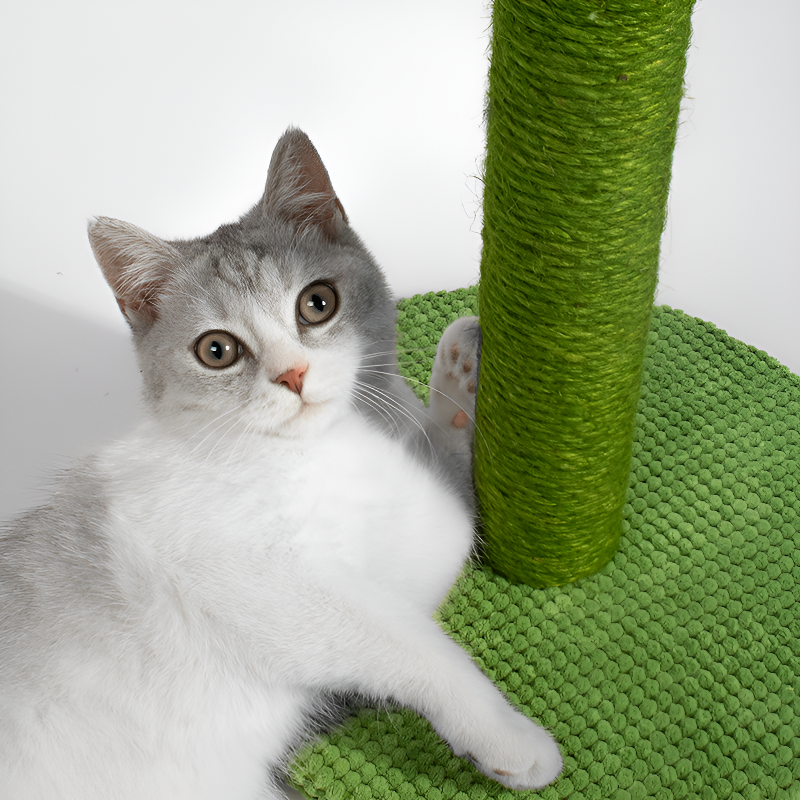 Tall Sisal Cactus Cat Scratcher Pet Supply