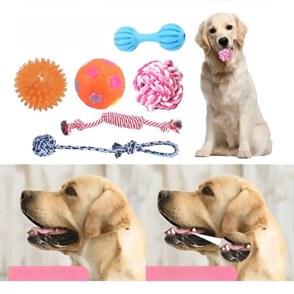 Pet toy dog   set, dog training toy, Teddy Golden Retriever