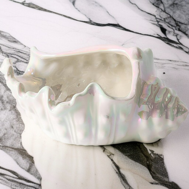 لوحة تخزين مجوهرات صدفة مع خواتم وقلادات