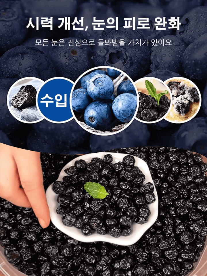 【항암·심장 건강 보호】블루베리 건조