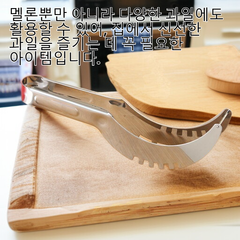 가정용 수박 커터기