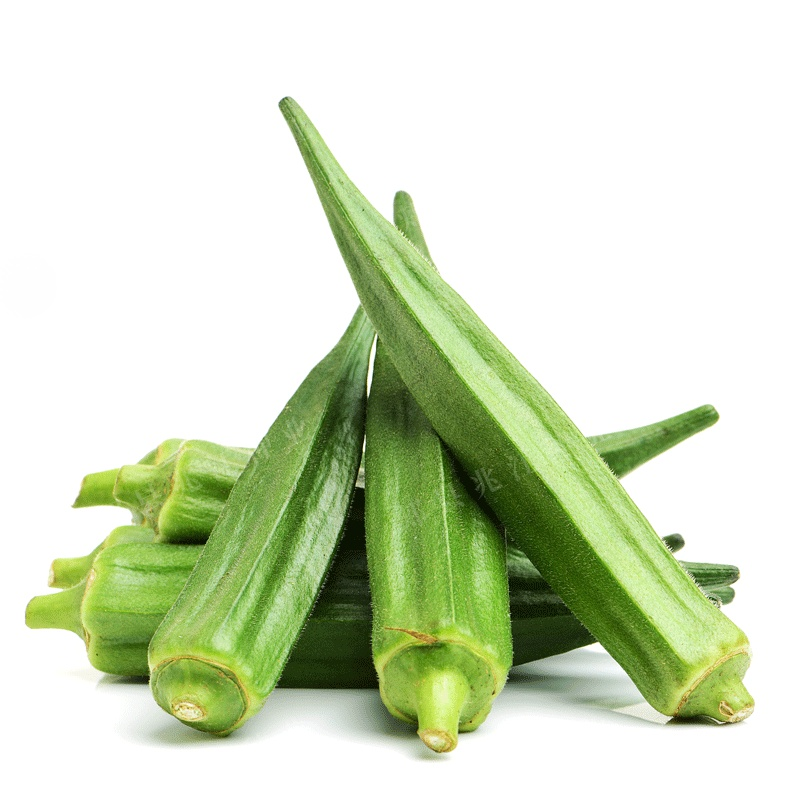 Four Seasons Balcony Okra Seeds