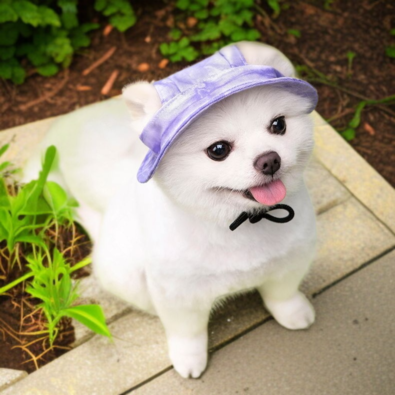 流域の帽子 かわいい 調節可能な王女の帽子 綿の耳絞め防止 耳日よけ流域の帽子