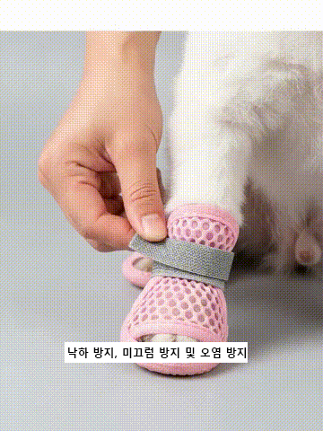 [3초컷] 절대 안 벗겨지는 초경량 강아지 메쉬 샌들 (화상/미끄럼방지)