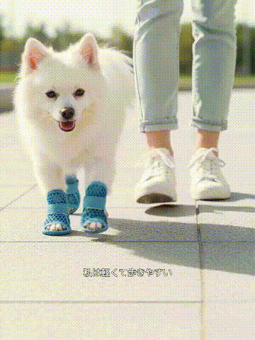 犬用滑り止め・防汚・メッシュスリッパ
