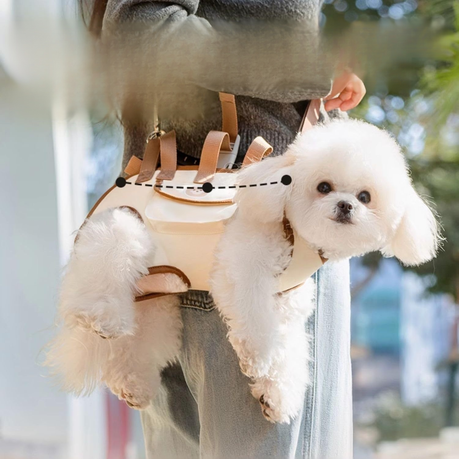 Rucksack mit Hundeleine