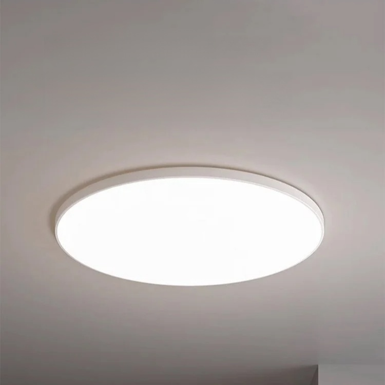Entrance LED Ultra-thin Ceiling Light