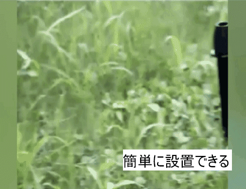 c61a555e1b1b4a4d4d3932bb546b7494.gif