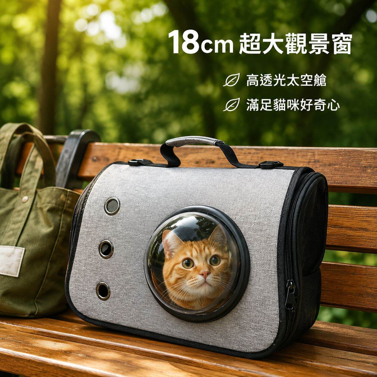 硬面貓咪背包