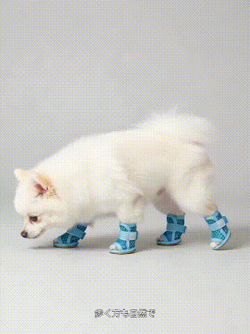 犬用滑り止め・防汚・メッシュスリッパ