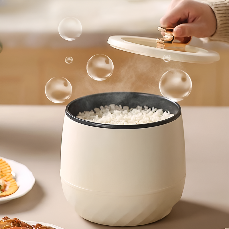 Mini Compact Rice Cooker