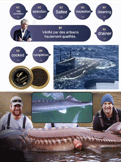 Caviar d'esturgeon noir de la mer Caspienne importé