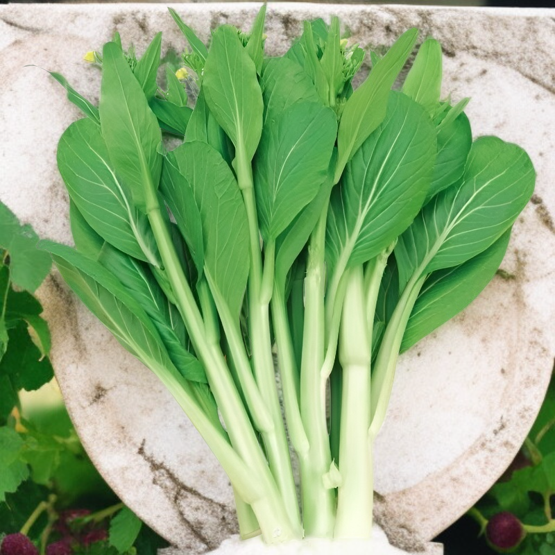 Hochwertige, ertragreiche, frühreife Chinakohlherz-Samen