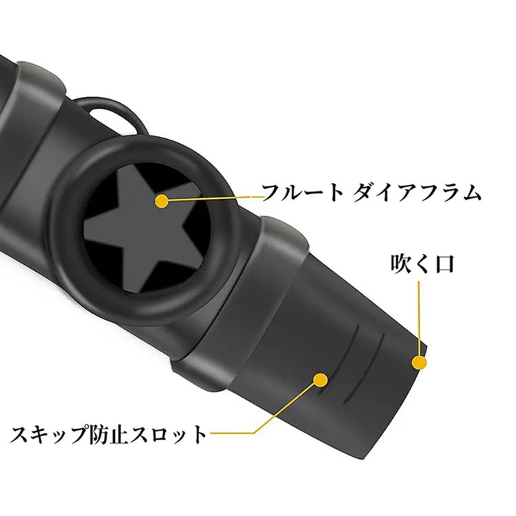 アップグレード版カズー簡単学習口笛