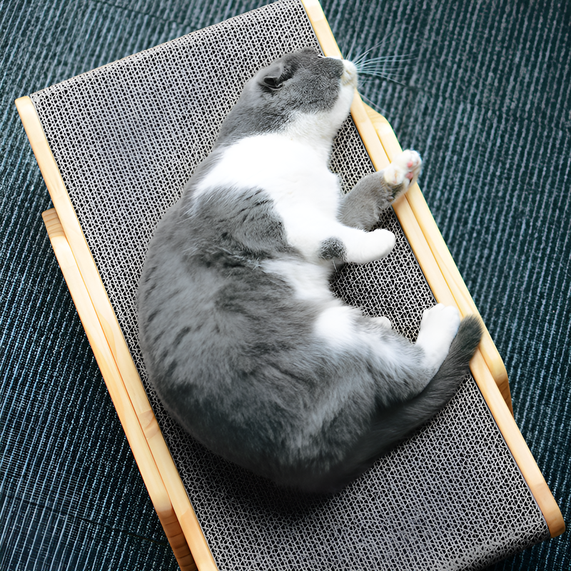 Stehendes Katzen-Kratzbrett