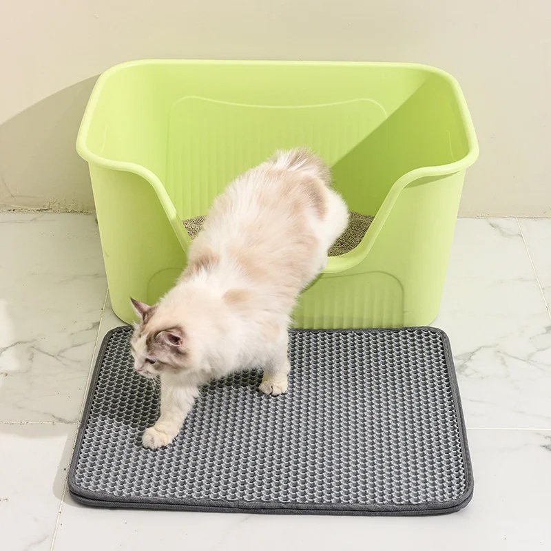 Eva Pet Kot Pieszczówka