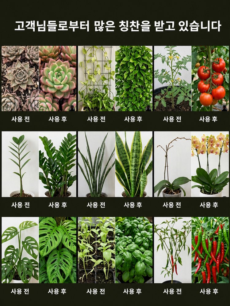미친 생명력! 단 3일 완성 뿌리 폭발 마법 파우더