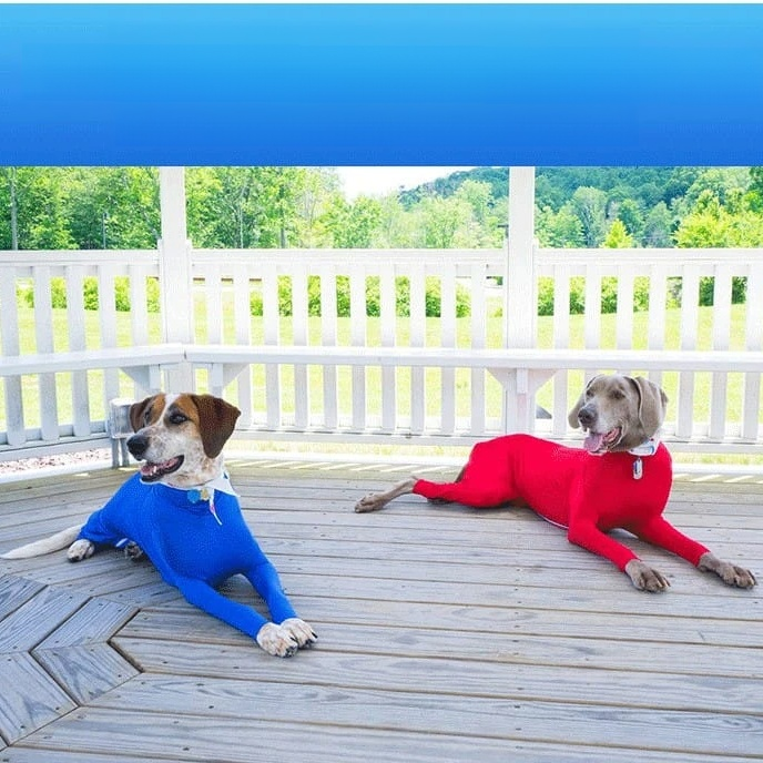 冬用防寒オールインワンペットウェア