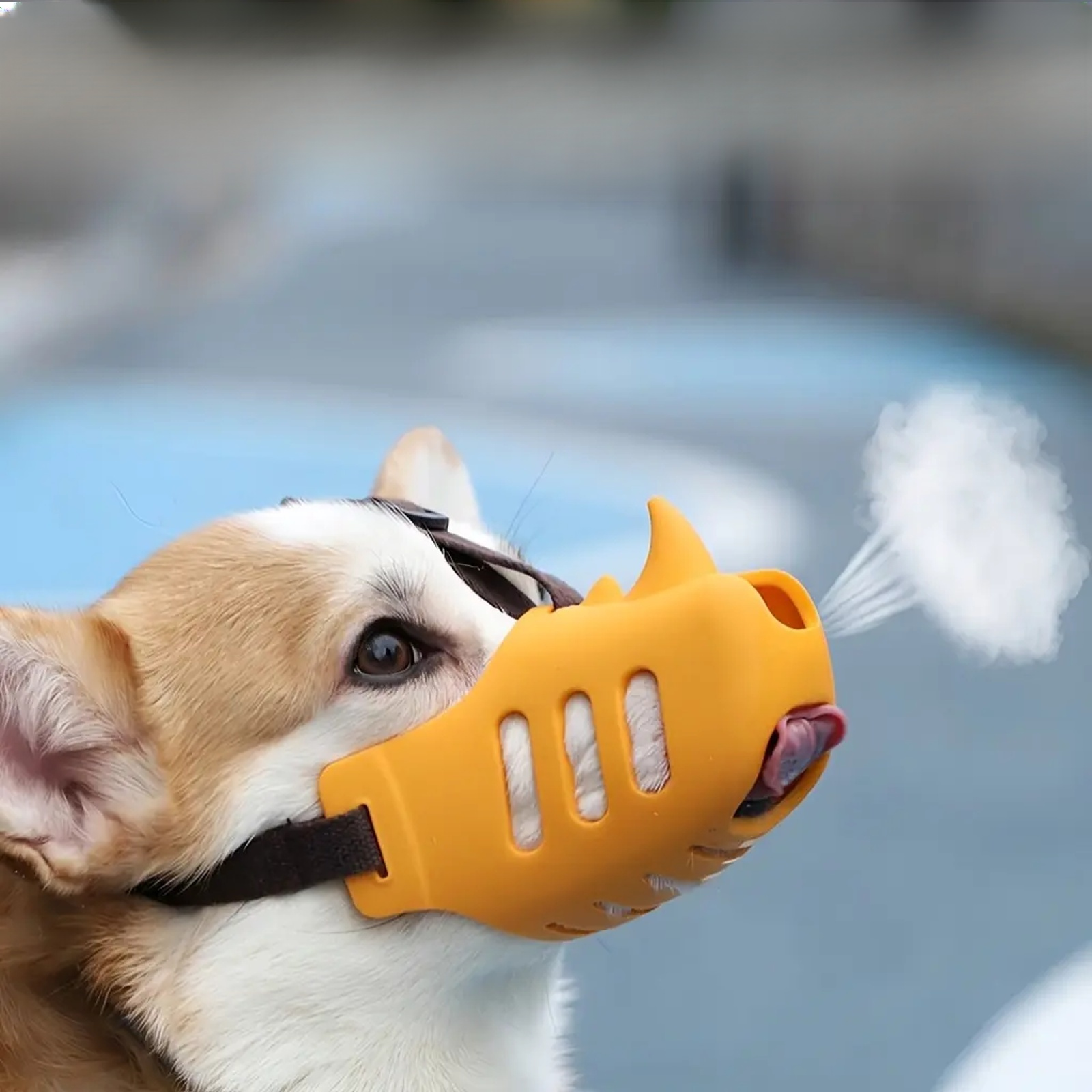 ペットの噛みつき防止マスク