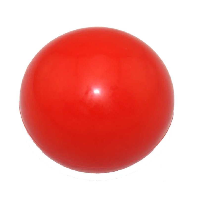 애완동물이 장난감 개공을 씹다