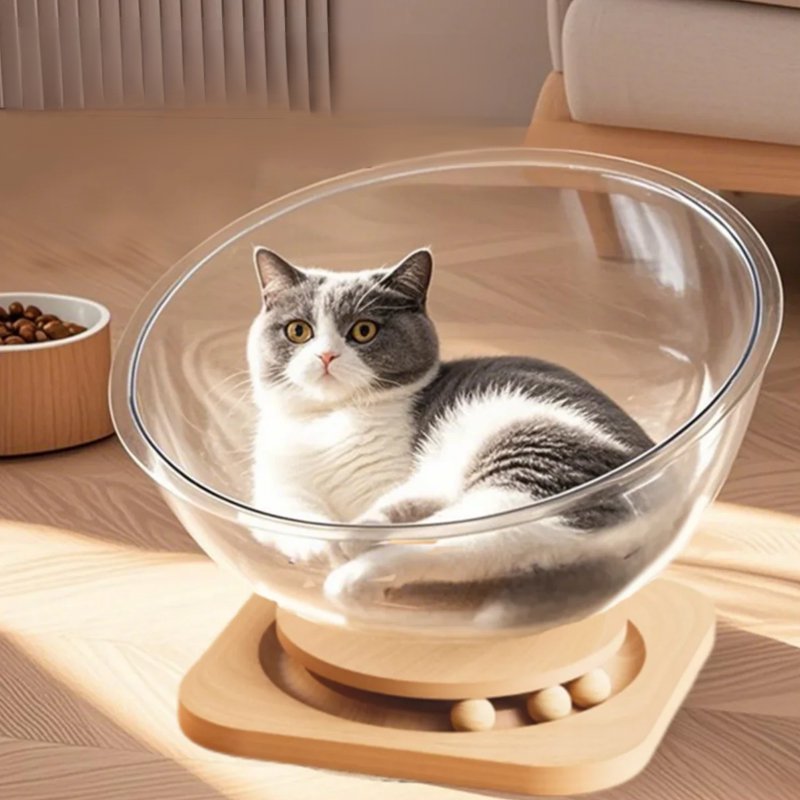 캡슐 고양이 침대