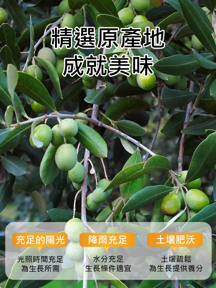 【降糖調脂】甘草橄欖果