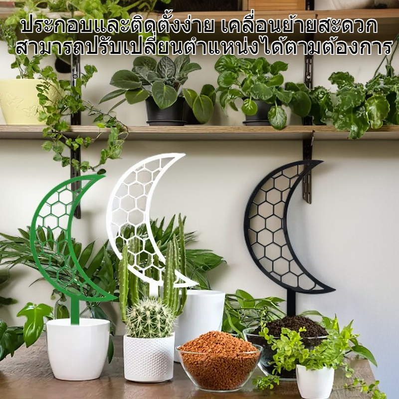 โครงสร้างปลูกต้นไม้เลื้อยคลานทรงเรขาคณิตสำหรับตกแต่งระเบียง
