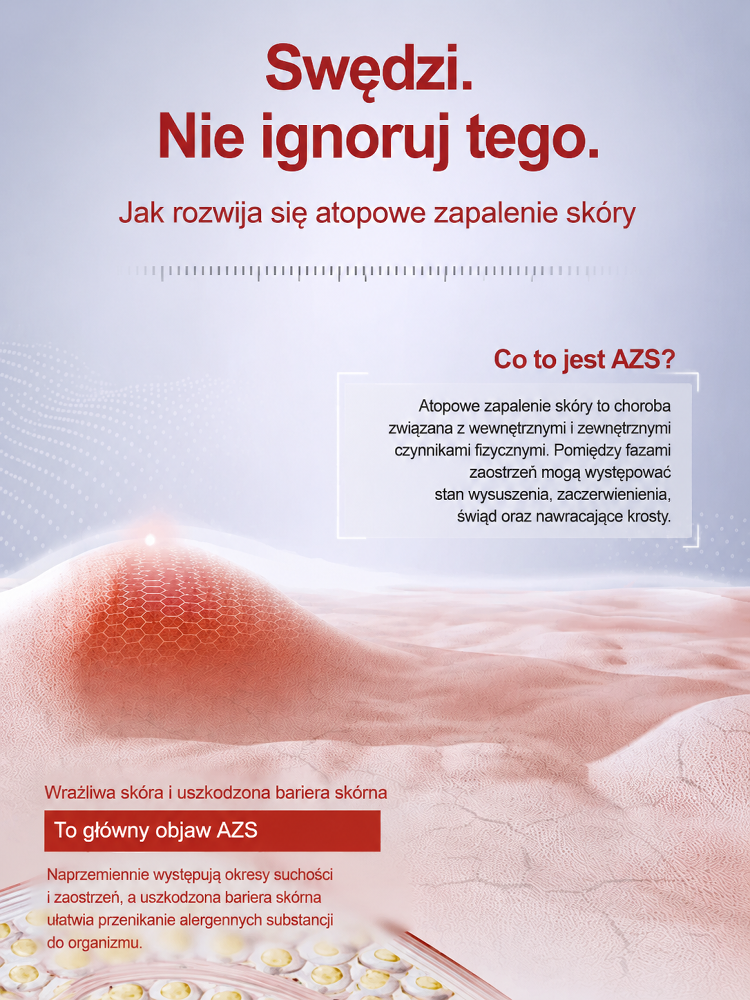 Szczegółowa prezentacja produktu