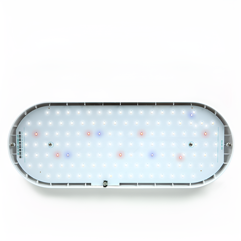 Adjustable Brightness Succulent Grow Light with Timer