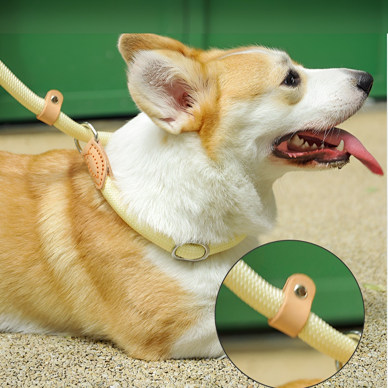 반려동물 방폭 충격 리드줄 야외 내구성 목 보호