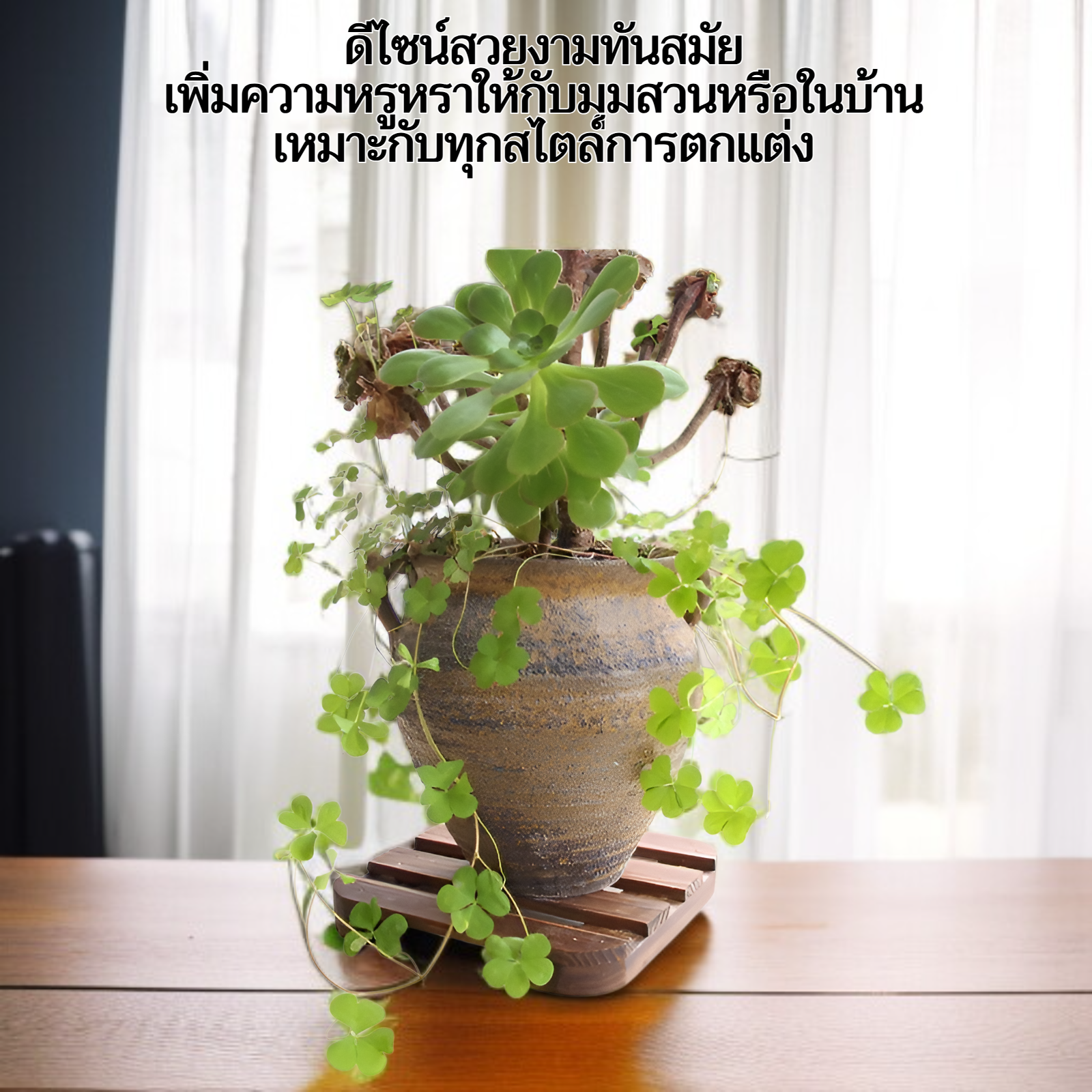 ถาดรองกระถางดอกไม้ไม้เนื้อแข็ง