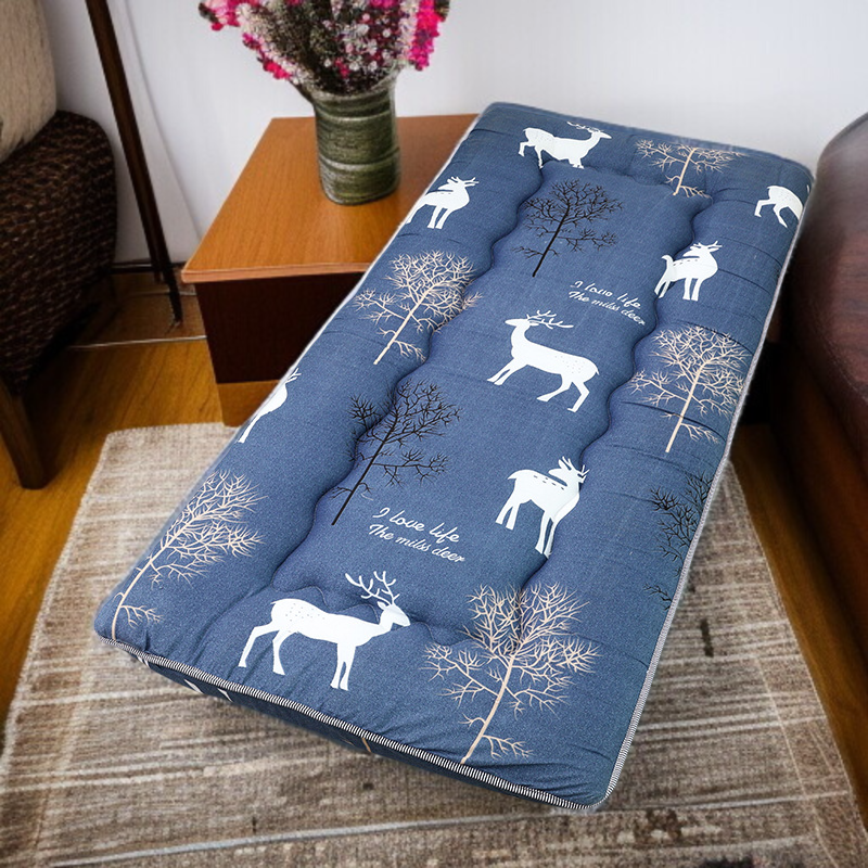 Student mattress dormitory single tatami mattress student soft cushion thick folding mattress floor