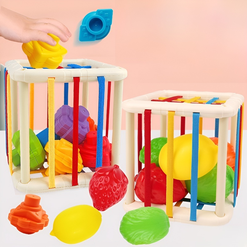 Infant Rainbow Shape & Color Recognition Educational Toy