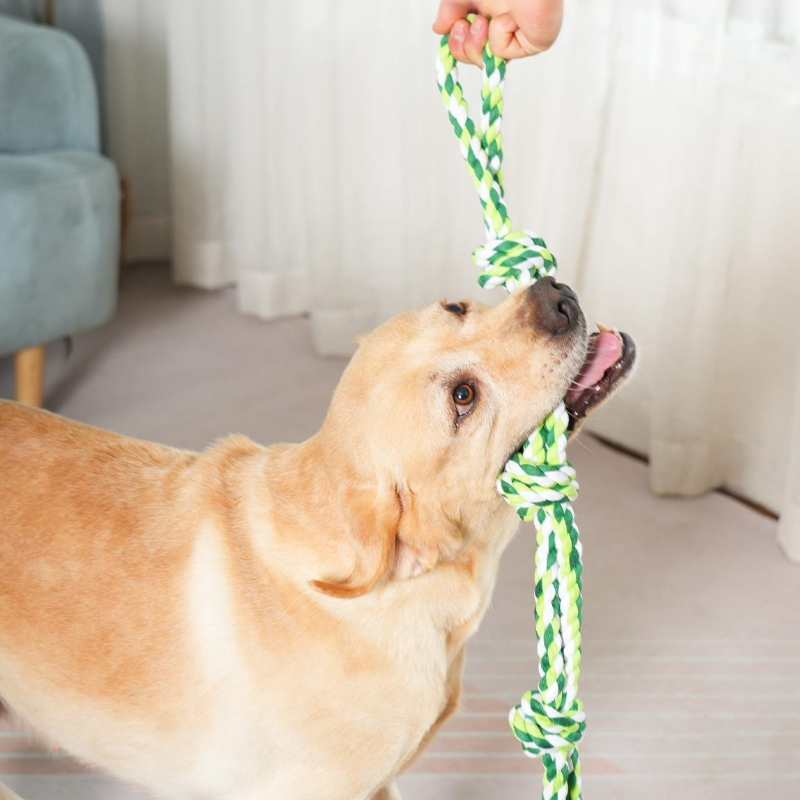 狗狗趣味咬玩具