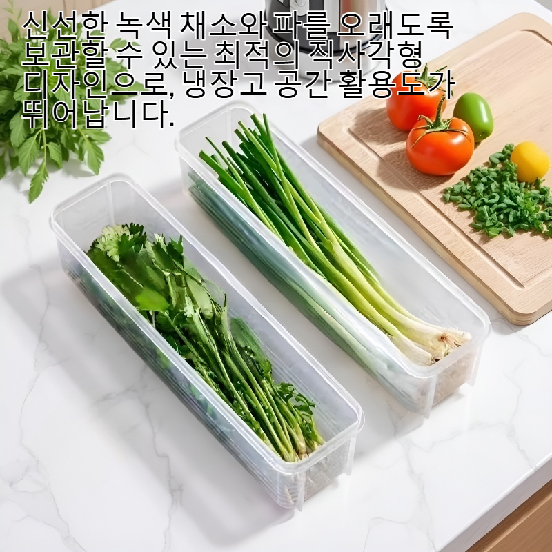 녹색 채소와 파를 보관하기 좋은 직사각형 식품 보관함