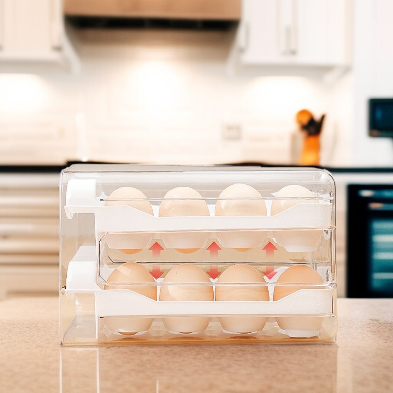 علبة بيض متعددة الاستخدامات، صندوق غداء محمول