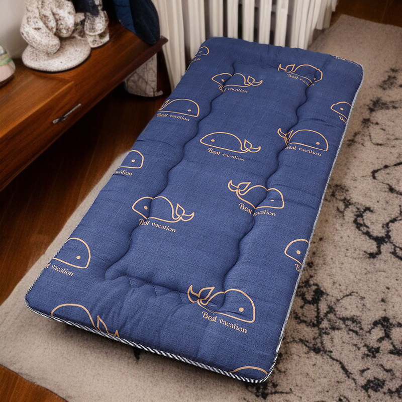 Student mattress dormitory single tatami mattress student soft cushion thick folding mattress floor