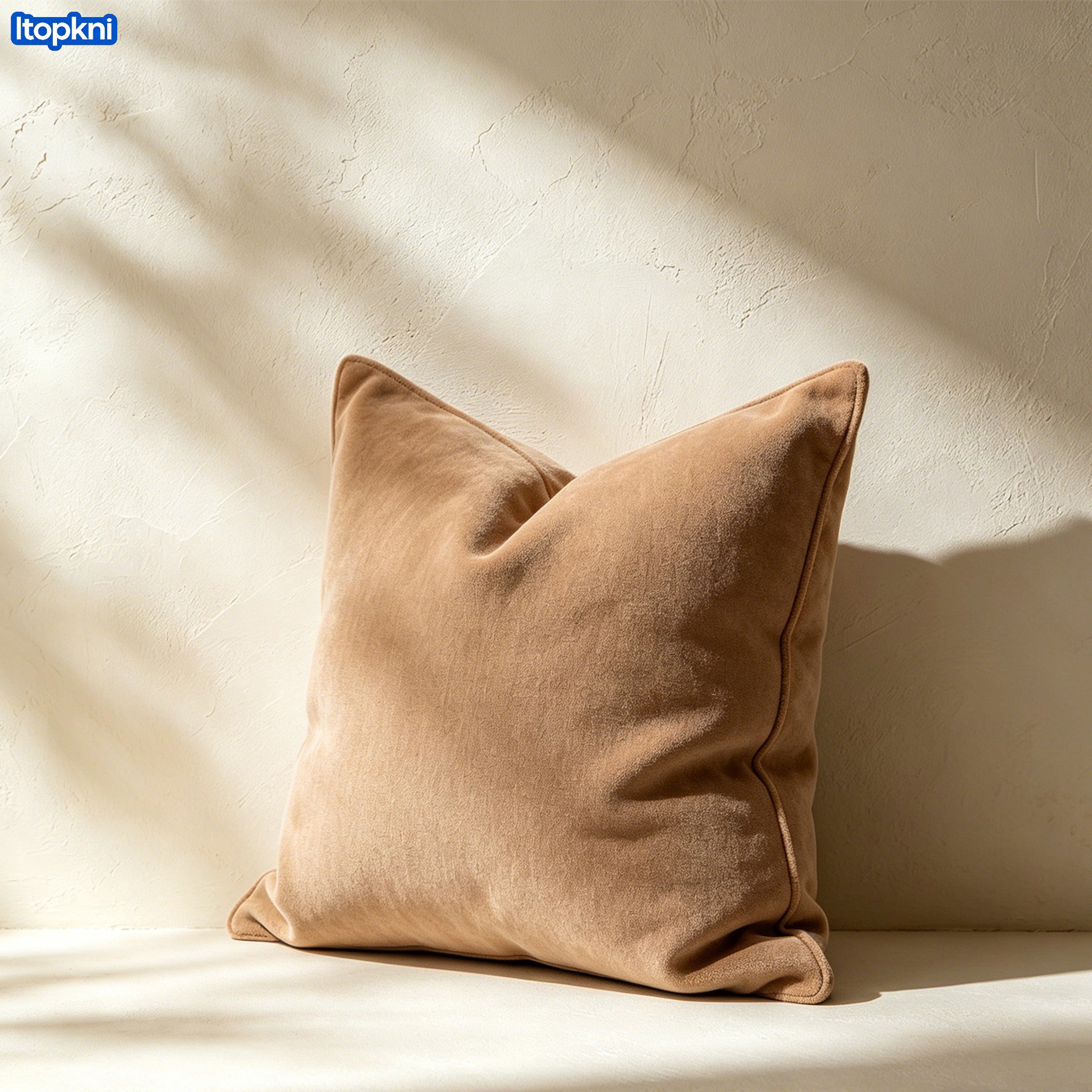 Removable and Washable Sofa Throw Pillow