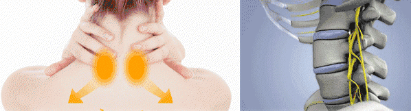 3.gif