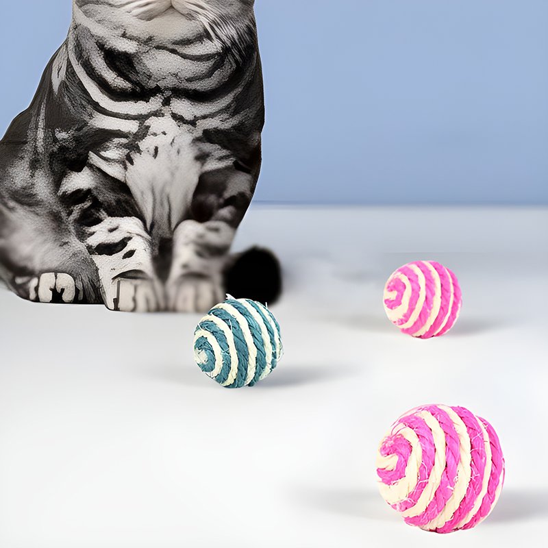 장난감 공 모양 고양이 장난감