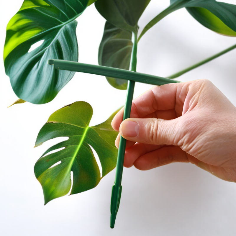  Pflanzenstütze Gartenstütze