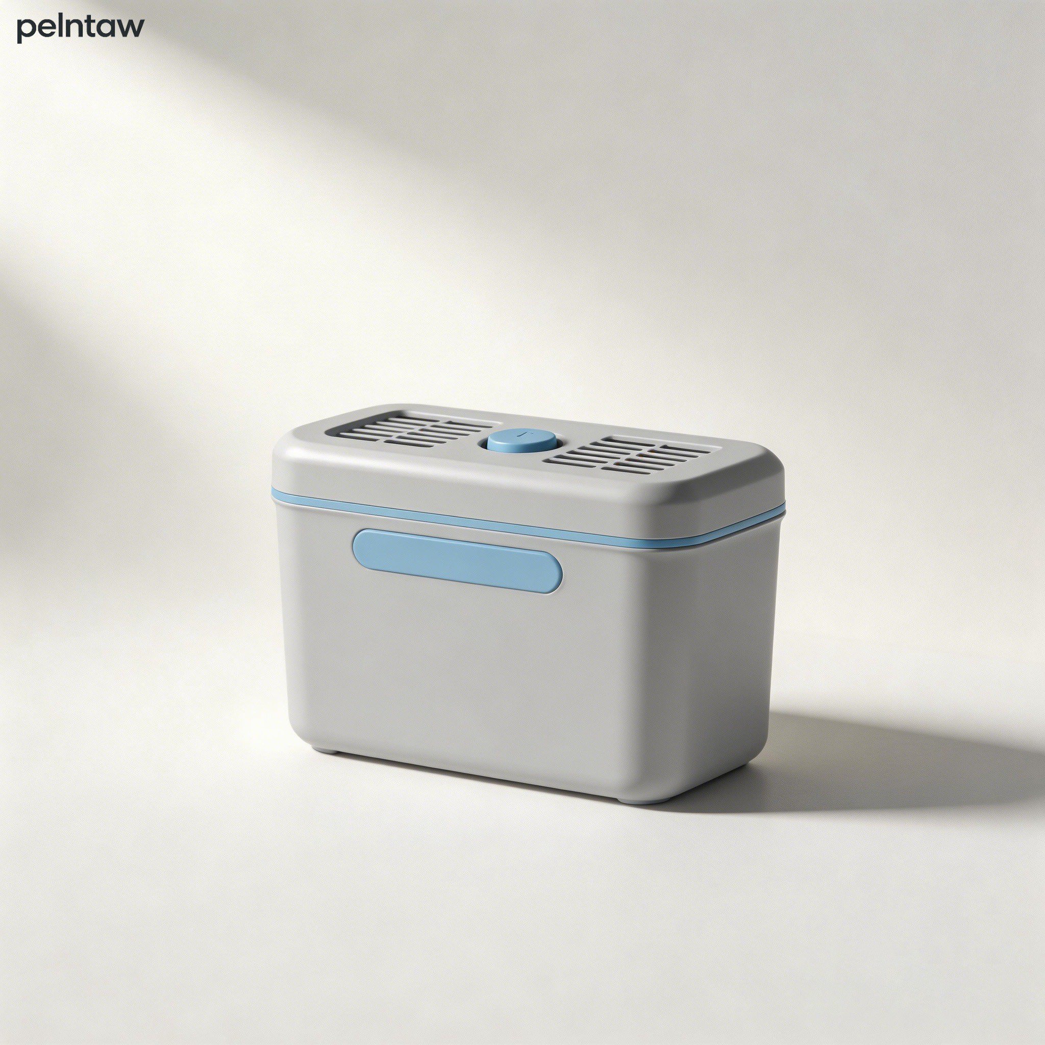 Tisch-Luftentfeuchterboxen 2er-Pack für den Heimgebrauch