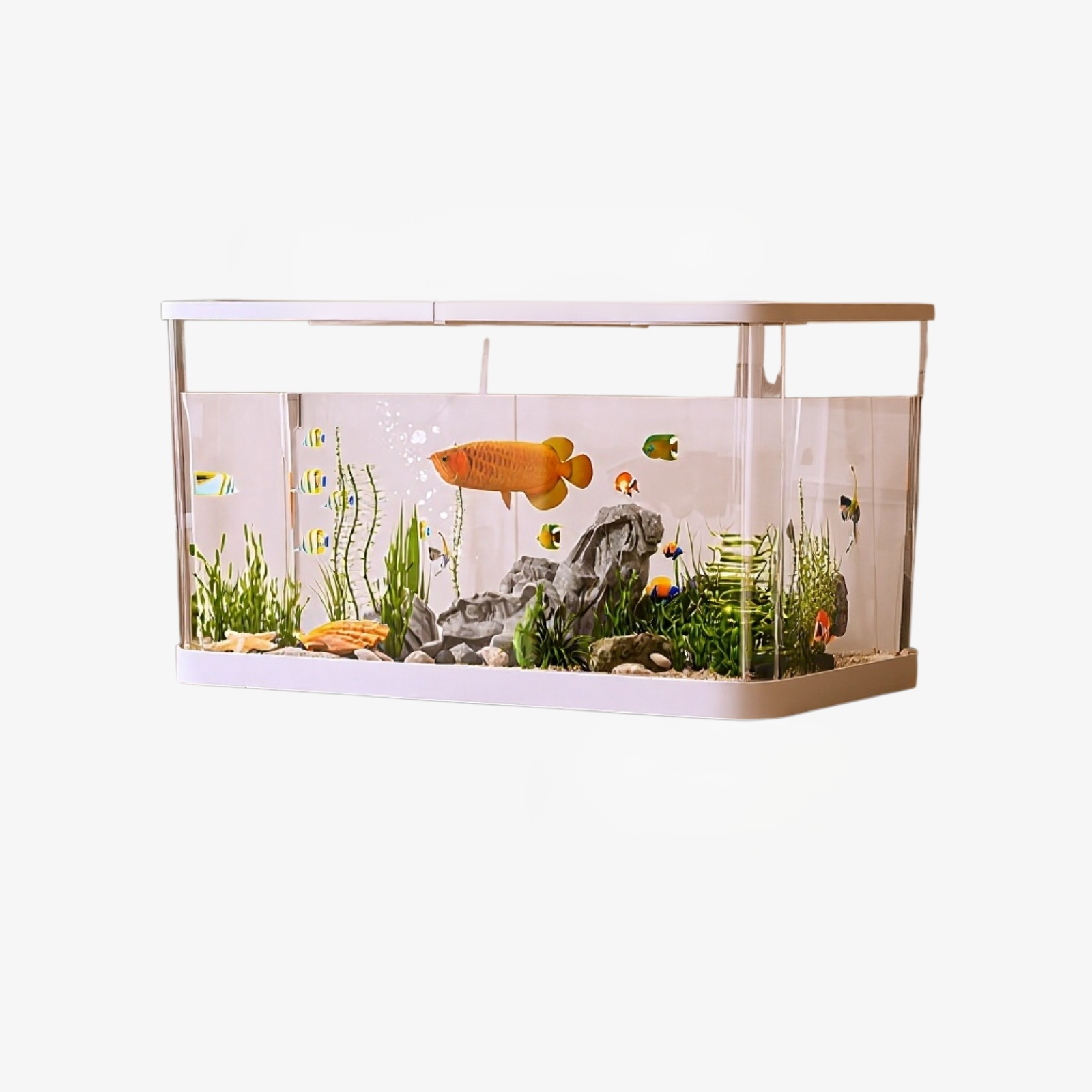 Fácil limpieza de acuario ecológico