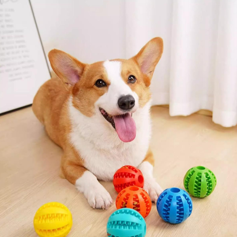 磨牙狗玩具