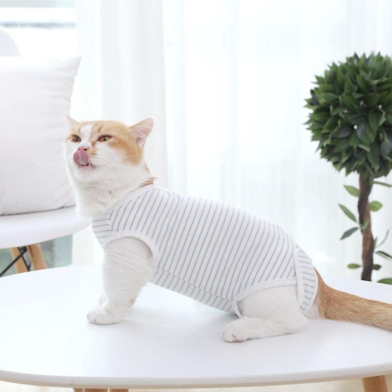 Cat Clothing Four Seasons Thin Edition
